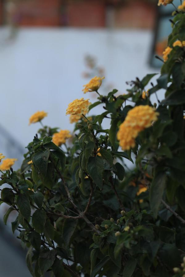 Rabat Sale Riad 外观 照片